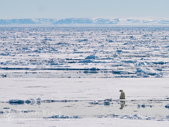 Spitzbergen_20170627_2586-2