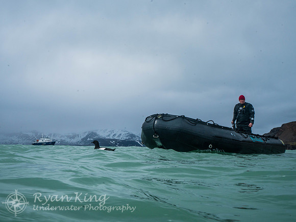 Spitzbergen_20170627_3430