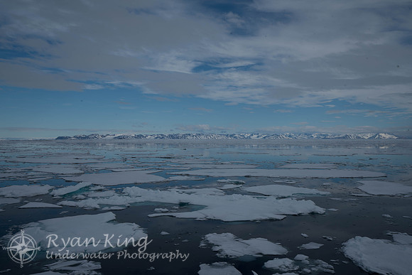 Spitzbergen_20170626_3331