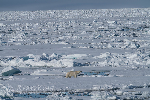 Spitzbergen_20170625_1586