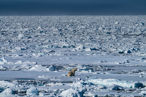 Spitzbergen_20170625_1577