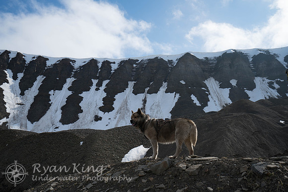 Spitzbergen_20170623_102