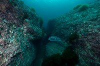 The Bell_160725_79
